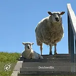 De Kattuul *
