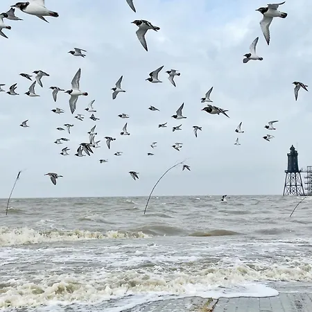 Apartament De Kattuul Direkt Am Nordseedeich *