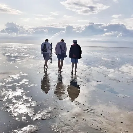 De Kattuul Direkt Am Nordseedeich