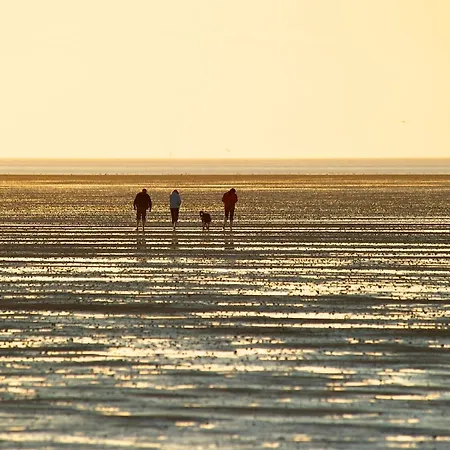 De Kattuul Direkt Am Nordseedeich Lägenhet