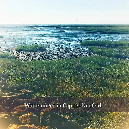 شقة De Kattuul Direkt Am Nordseedeich Wurster Nordseekuste