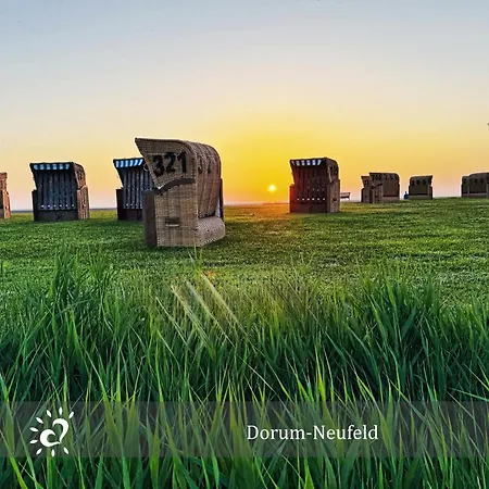 De Kattuul Direkt Am Nordseedeich