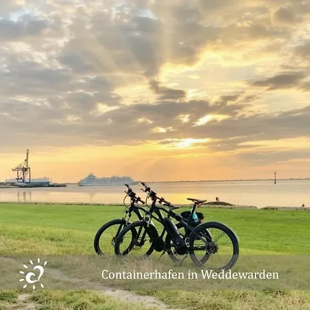 De Kattuul Direkt Am Nordseedeich ドルム・ノイフェルト