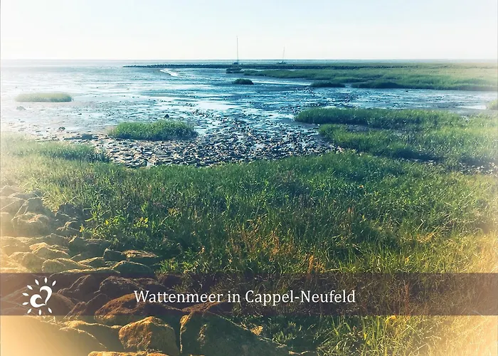 شقة De Kattuul Direkt Am Nordseedeich Wurster Nordseekuste