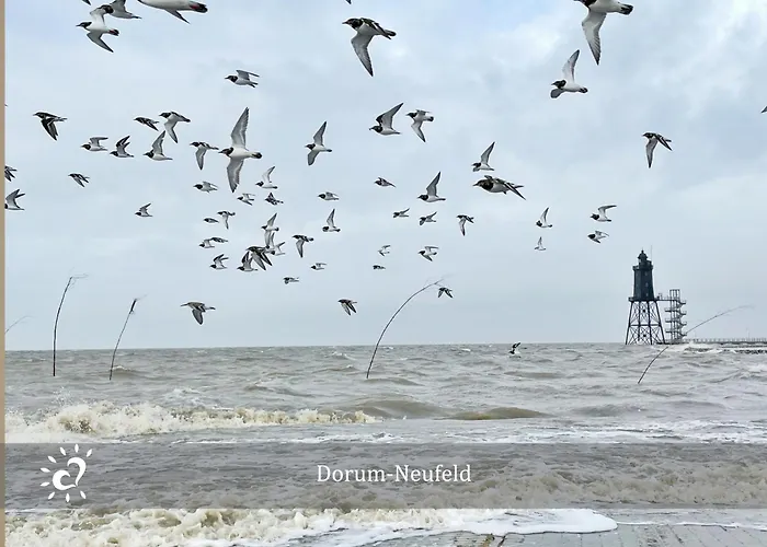 شقة De Kattuul Direkt Am Nordseedeich Wurster Nordseekuste