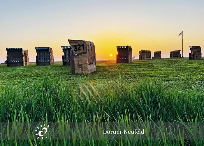 De Kattuul